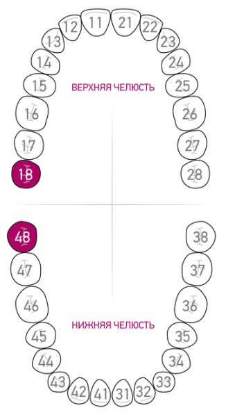 Кламп для коффердама Dentech (Япония) 139